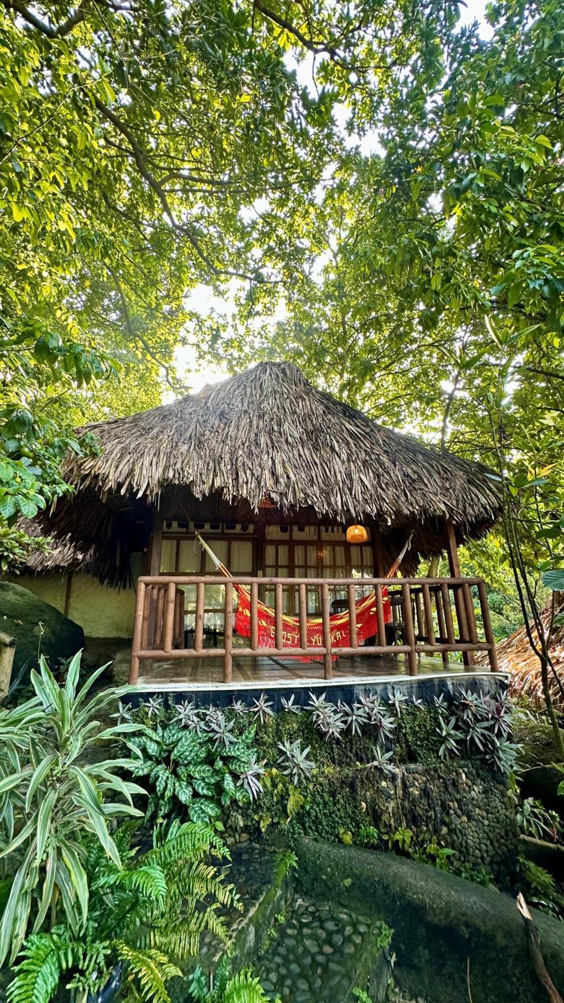 Eco Hostal Yuluka Эль-Саино Экстерьер фото